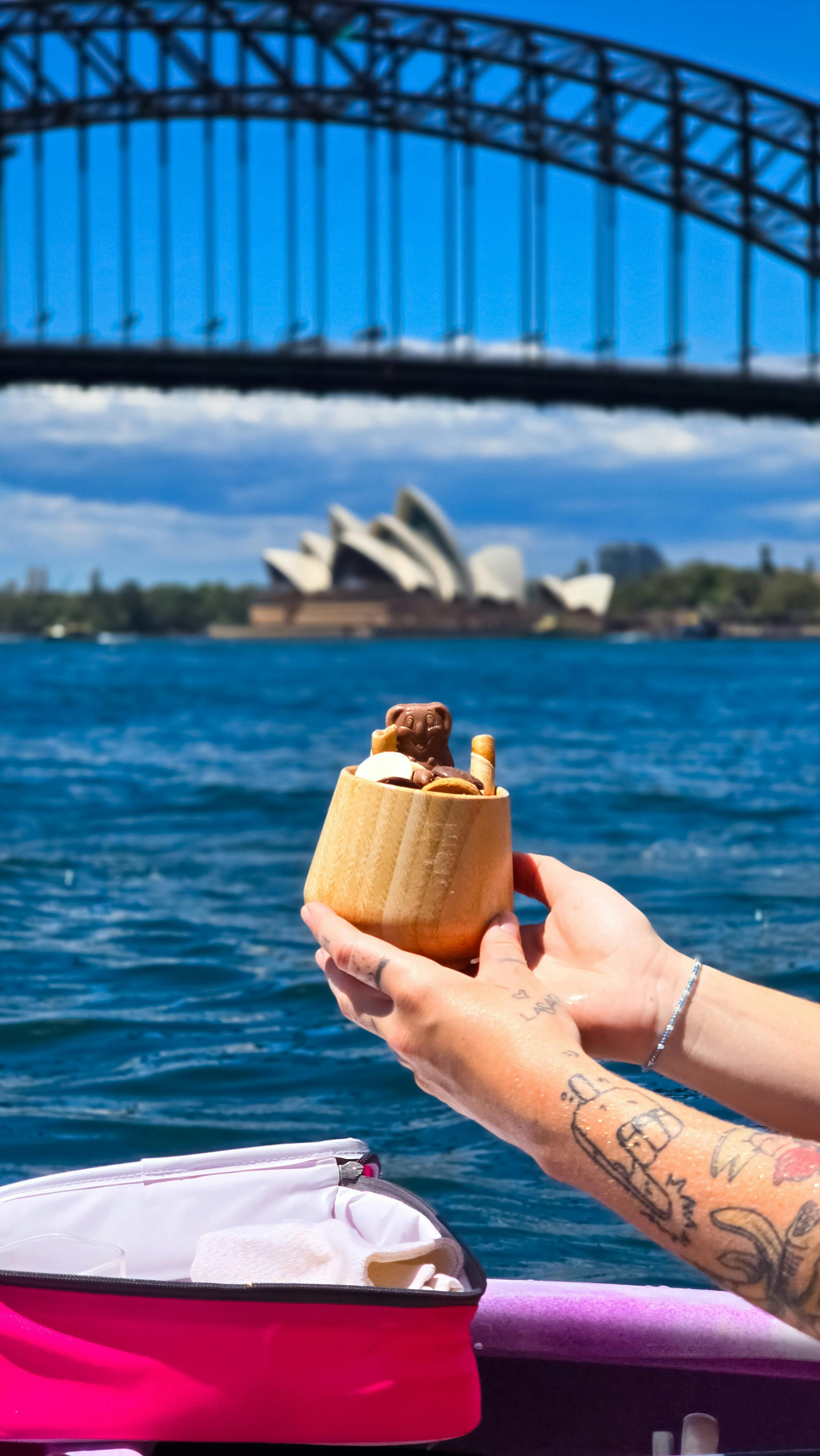 Ice Cream with Chocolate Koala Bear on Syndey Harbour with the Opera House in the Background.