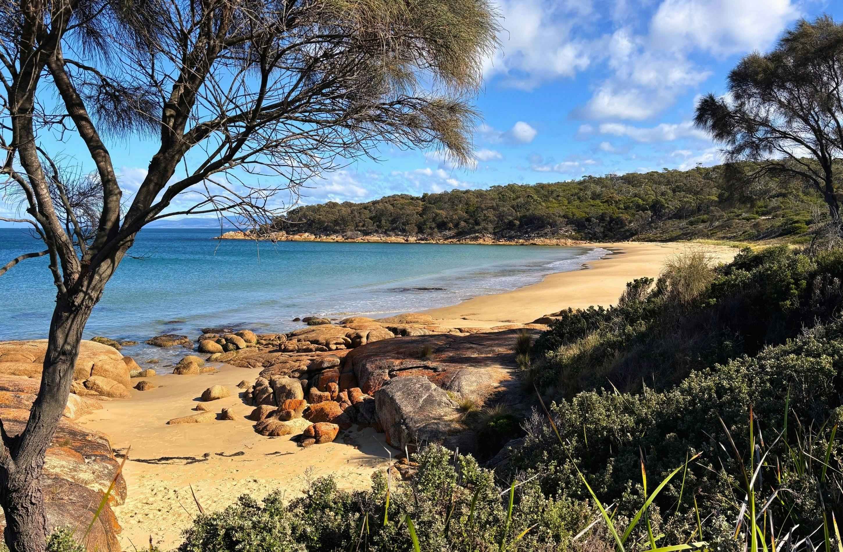 Beach at Edge of the Bay