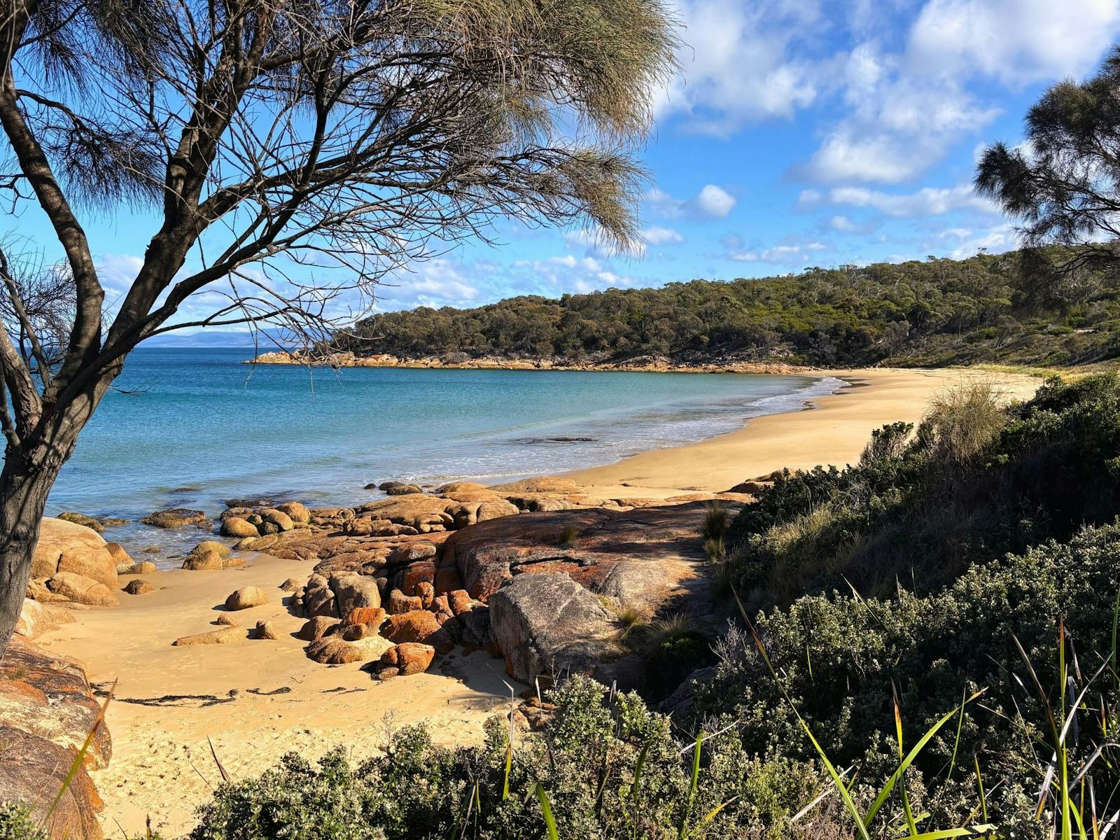 Beach at Edge of the Bay