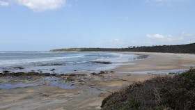 Shelley Beach
