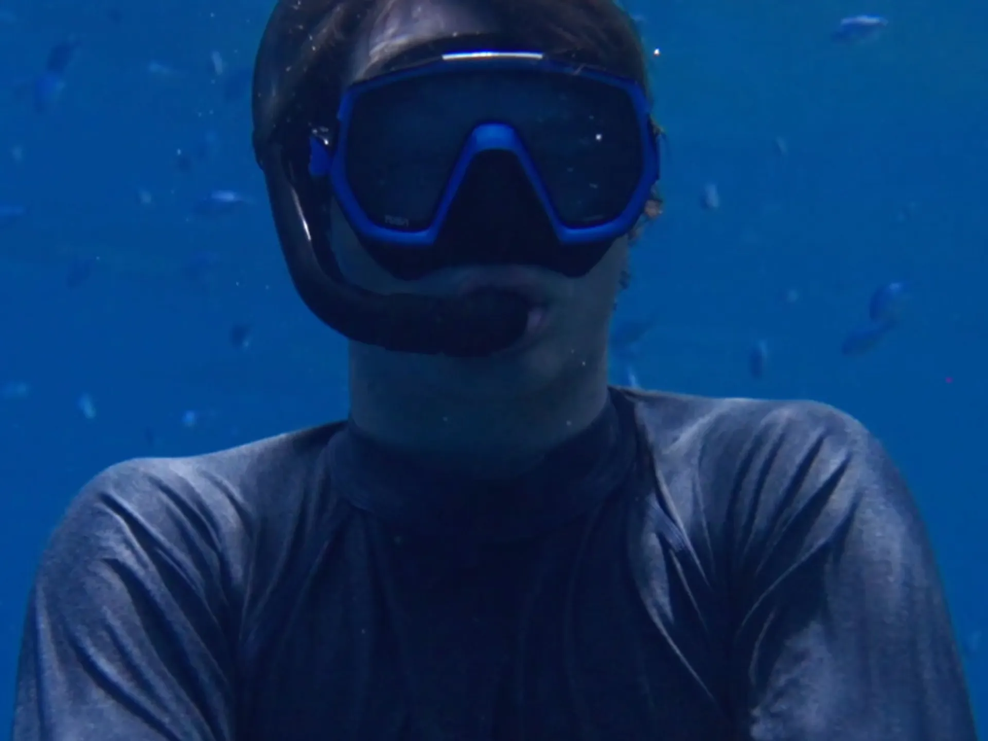 Man SCUBA diving