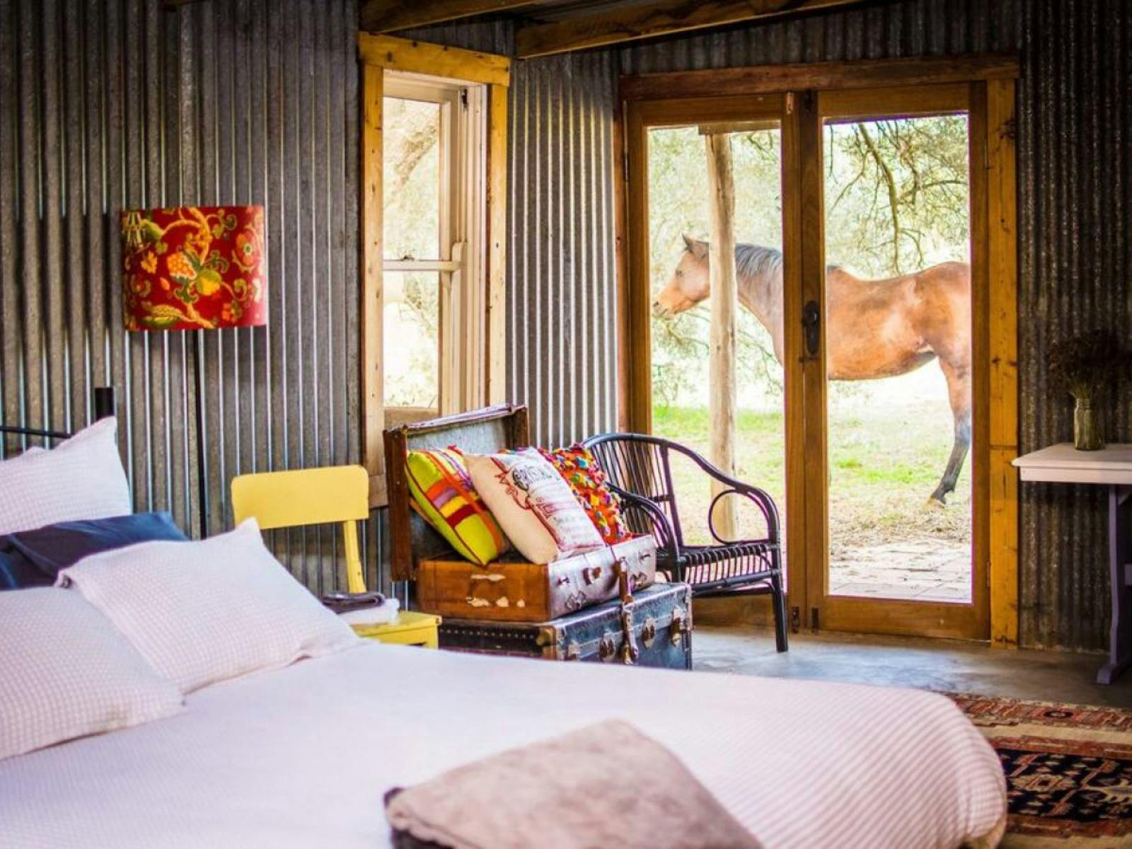 The Shearing Shed Boutique Farmstay Cowra edit1