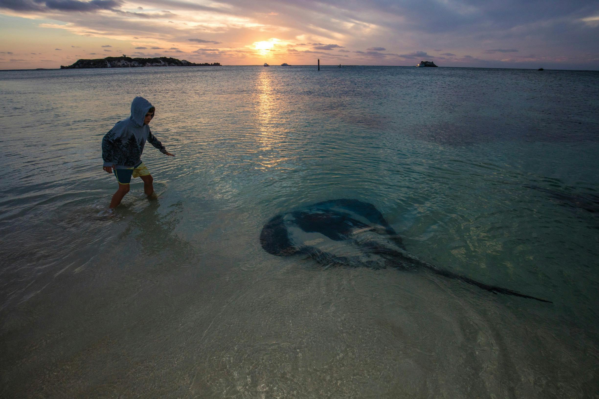 Hamelin Bay