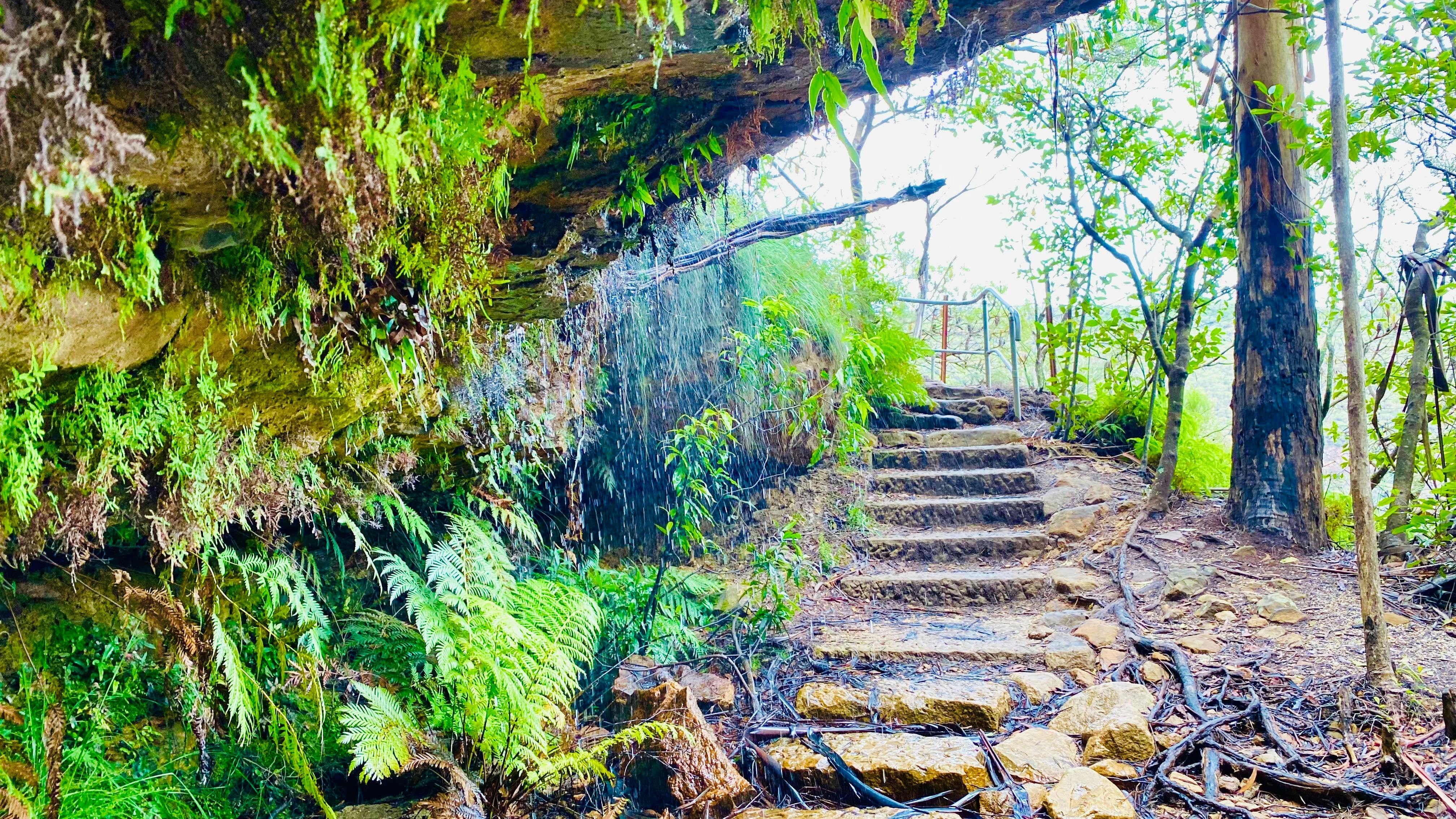 Undercliff, Blue Mountains UNESCO National Park – Private Luxury Nature Tour from Sydney