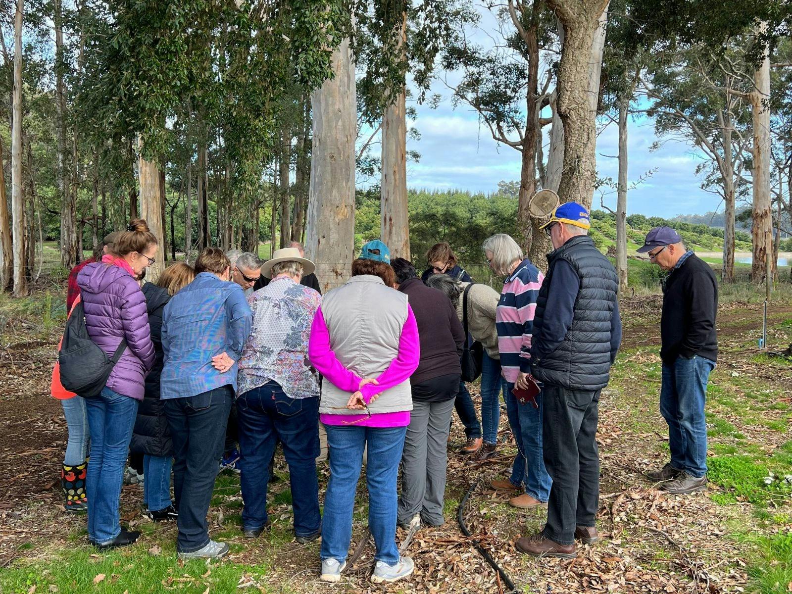 How big is that truffle?