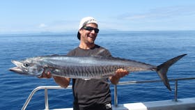 Spanish Mackerel