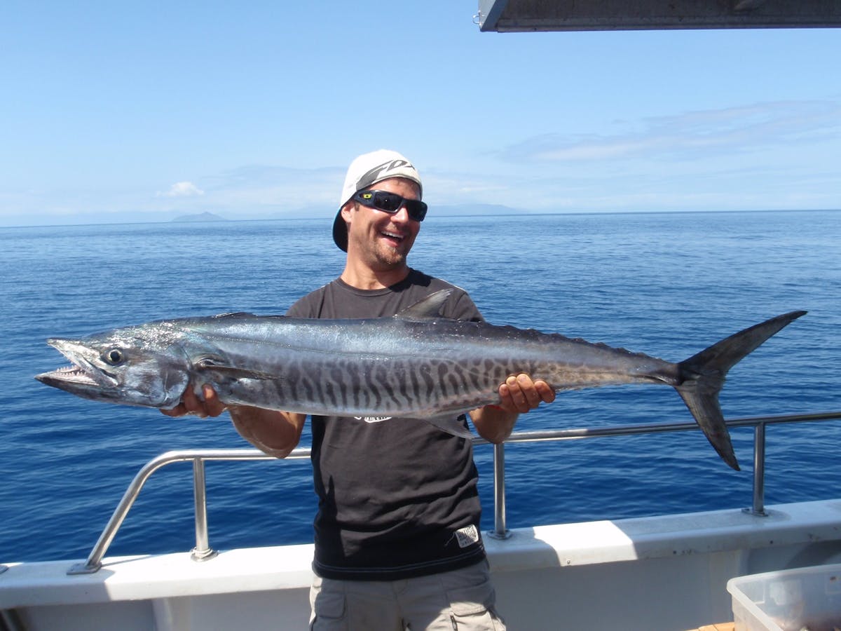 Spanish Mackerel