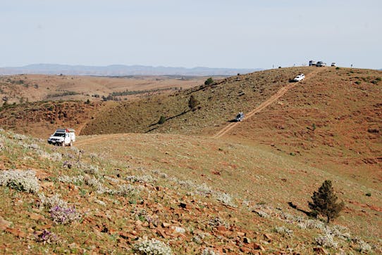 tag along tours south australia