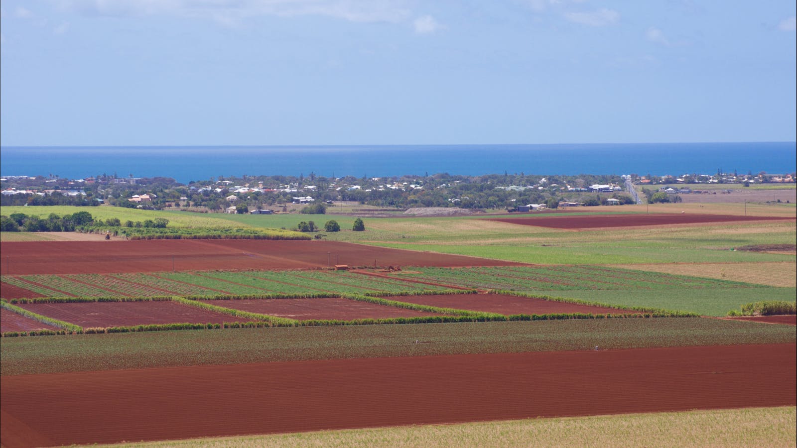 Hummock Lookout