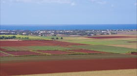 Hummock Lookout