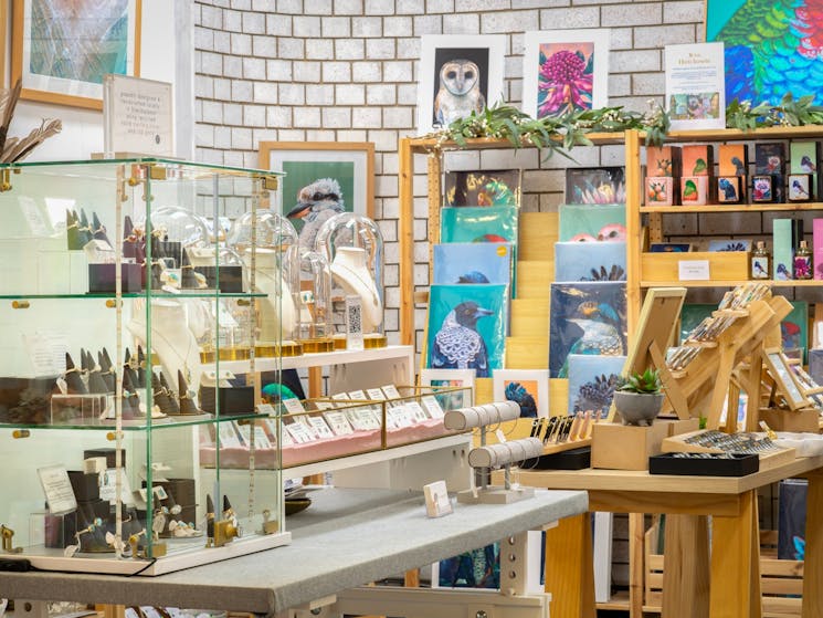 Inside a store, glass jewellery cabinet, colourful art prints of birds and flowers