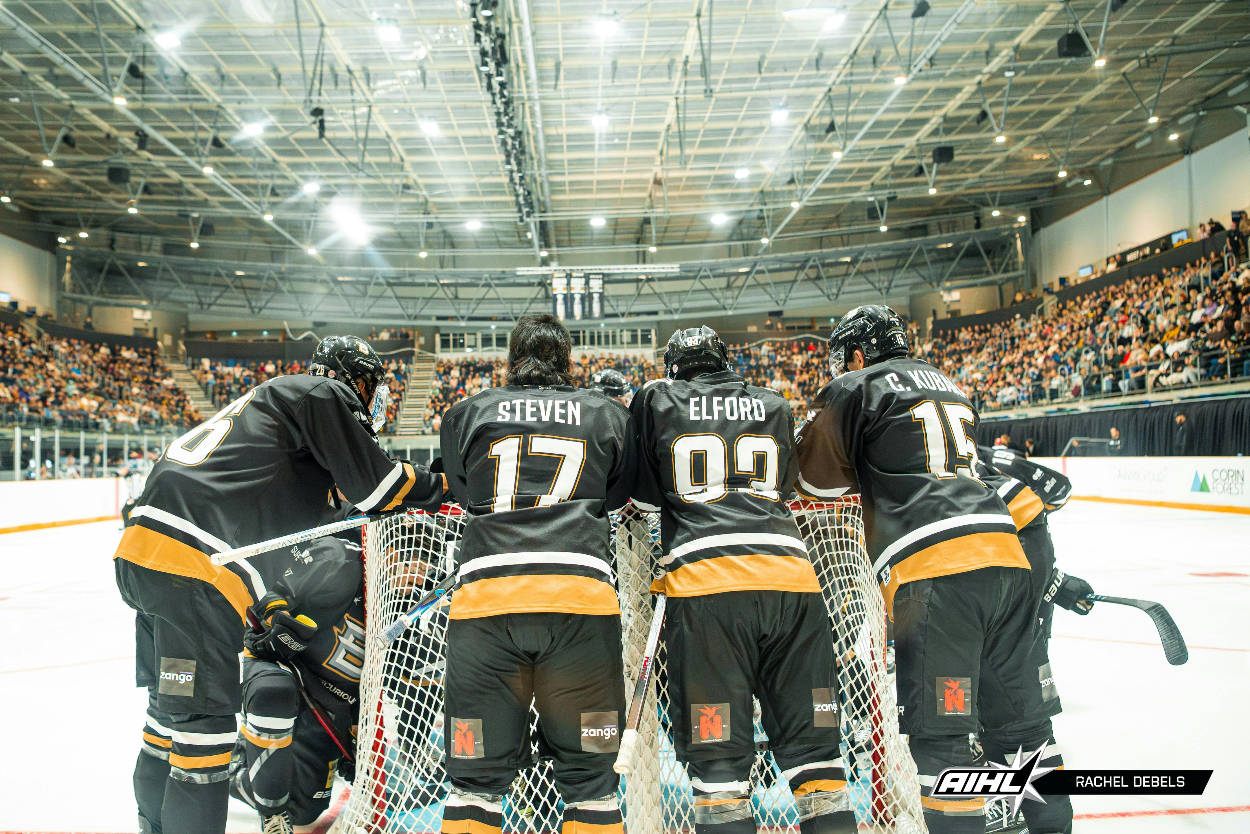 Image of Hockey Players