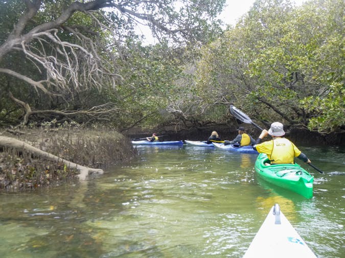 Mighty Yowies Dolphin and Ship Wreck Kayak Adventure Summer School Holidays