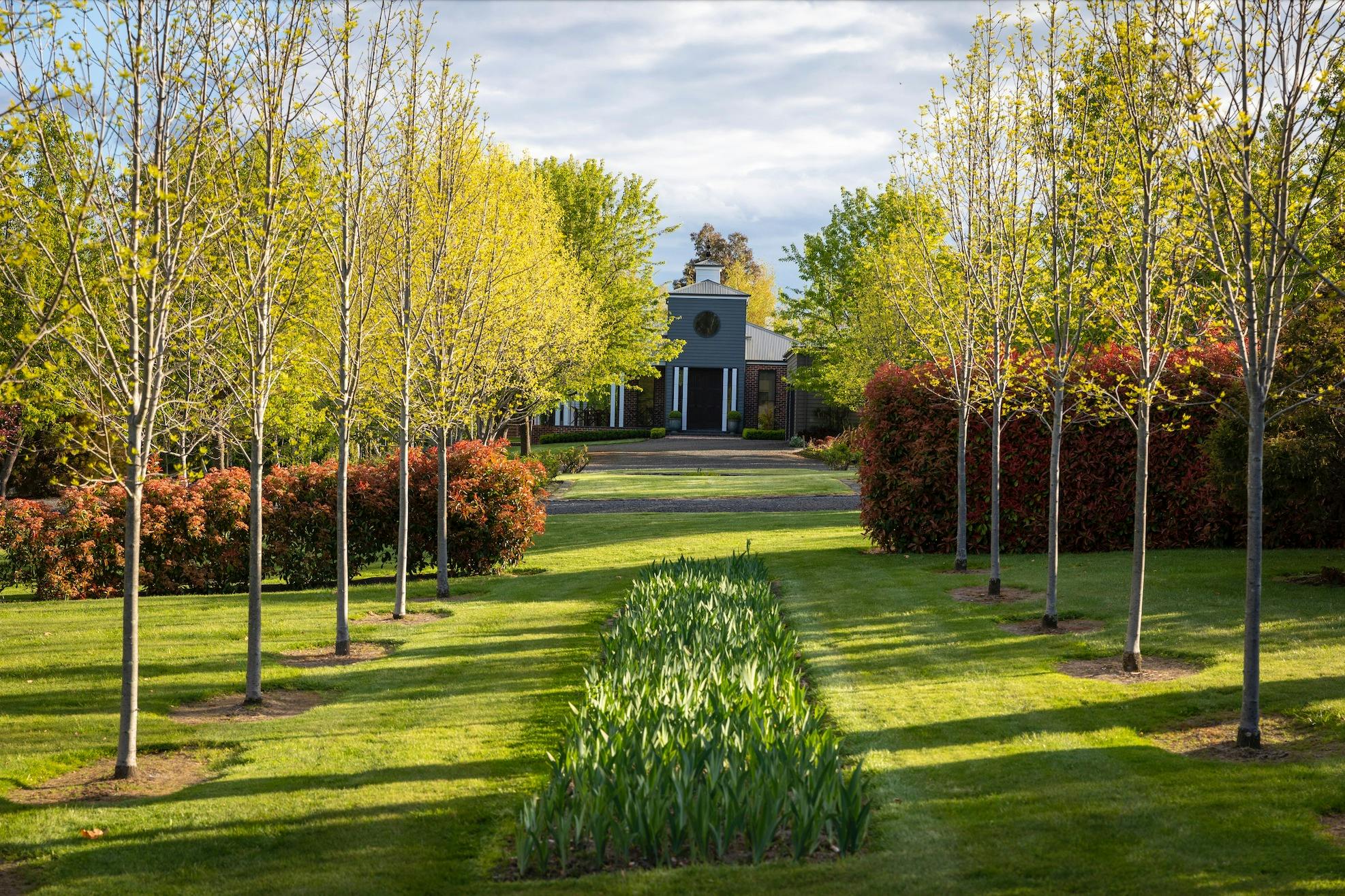 Open Gardens Victoria - Verdicus view of garden