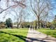 green grass, plane trees, no leaves on trees, group walking, family picnicking, playground, toilet