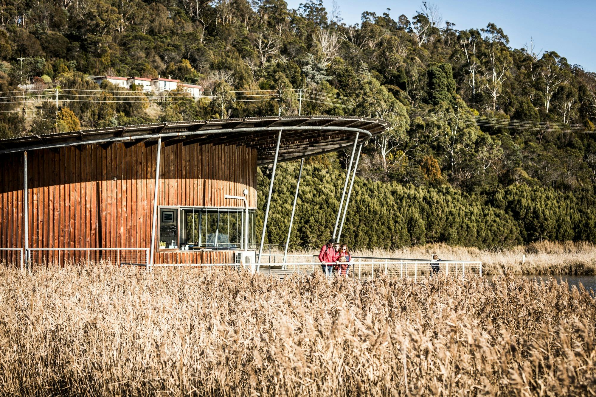 Tamar Island - Great Short Walk