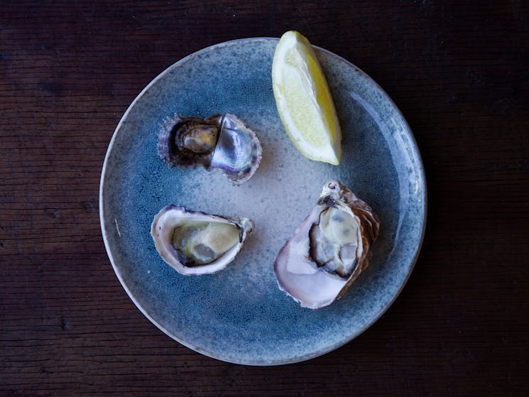 Oyster tasting plate with lemon