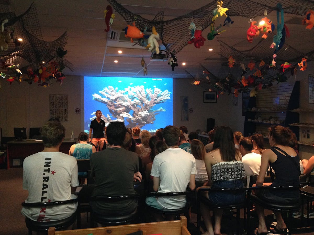 Reef Teach