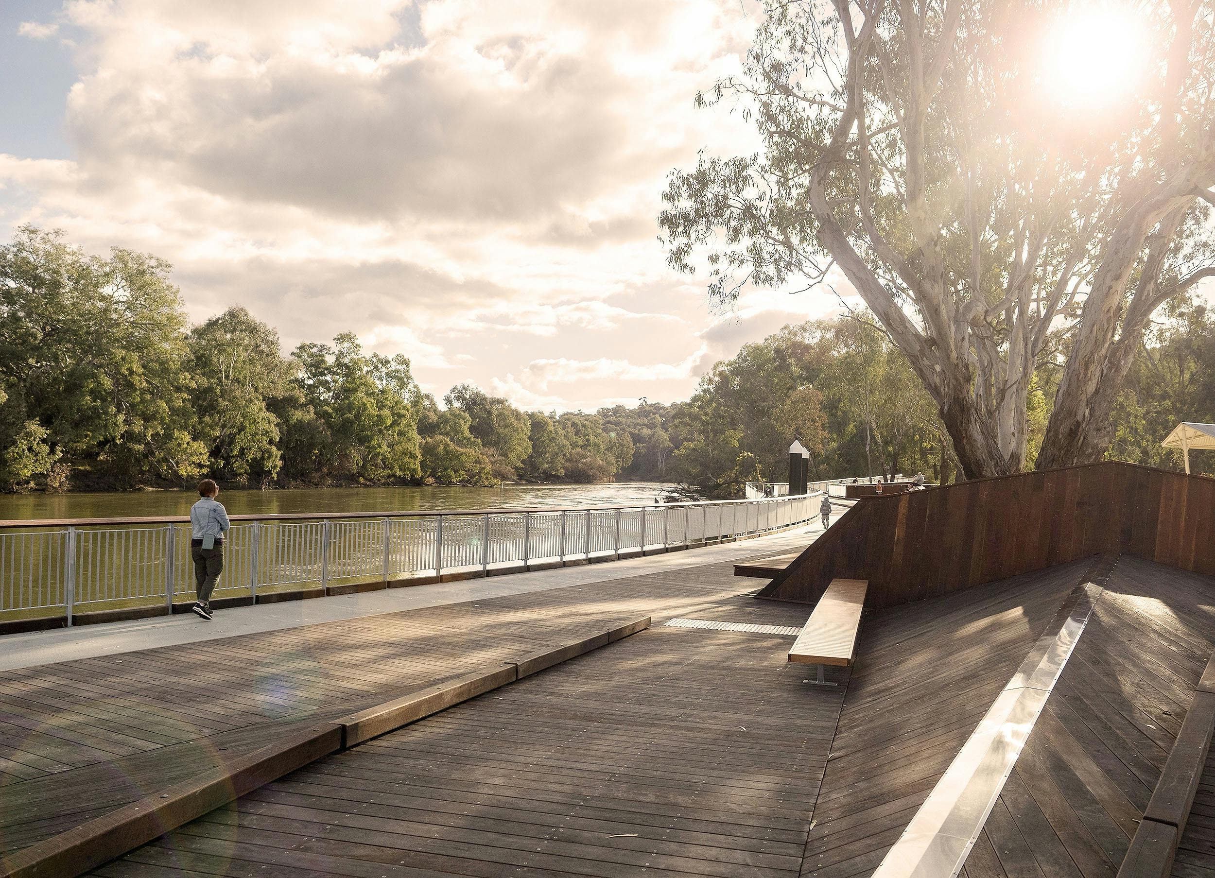 Wide shot showing Boardwalk along the Murray River with sun shinning through big treeMurray River