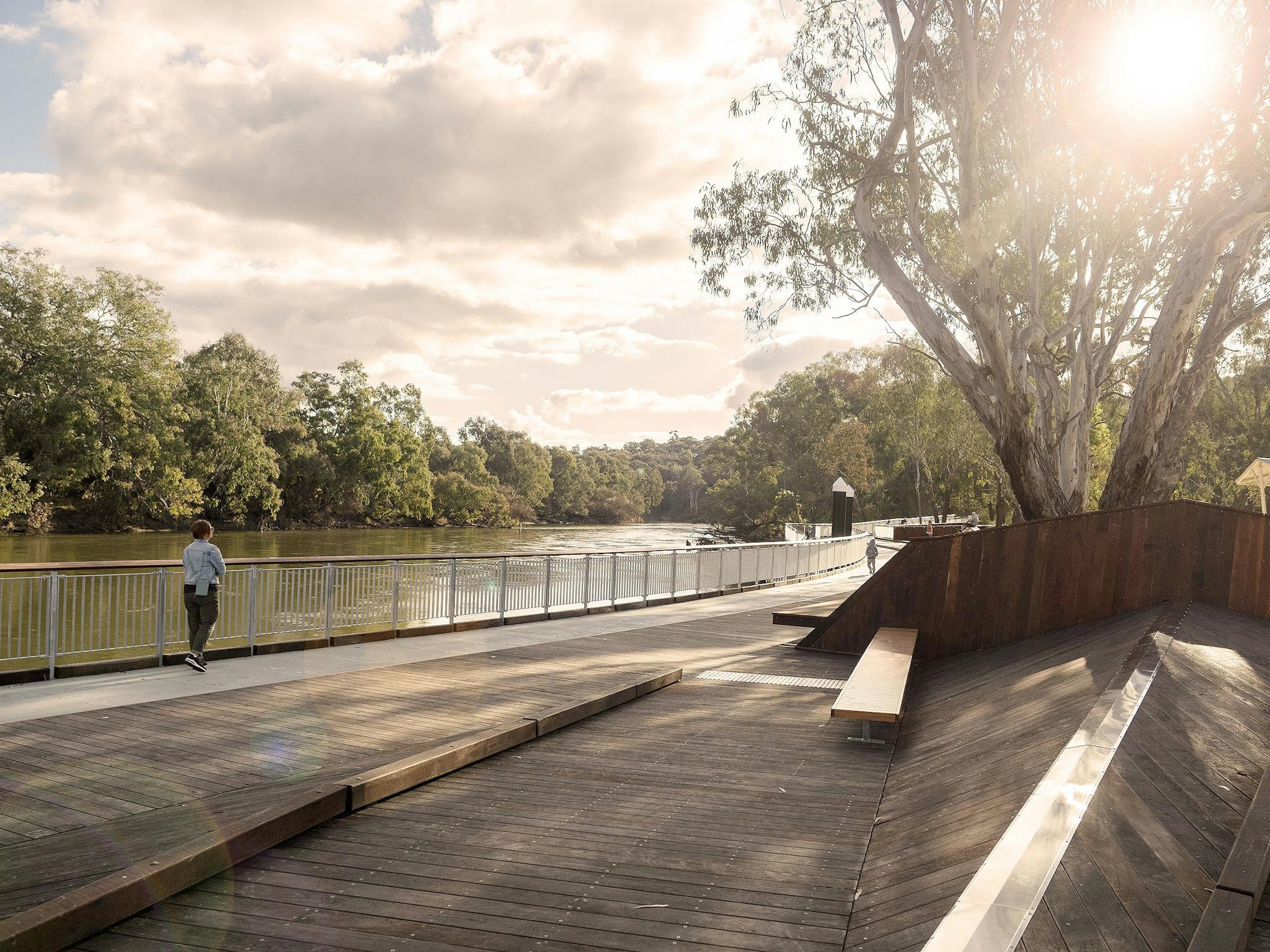 Wide shot showing Boardwalk along the Murray River with sun shinning through big treeMurray River