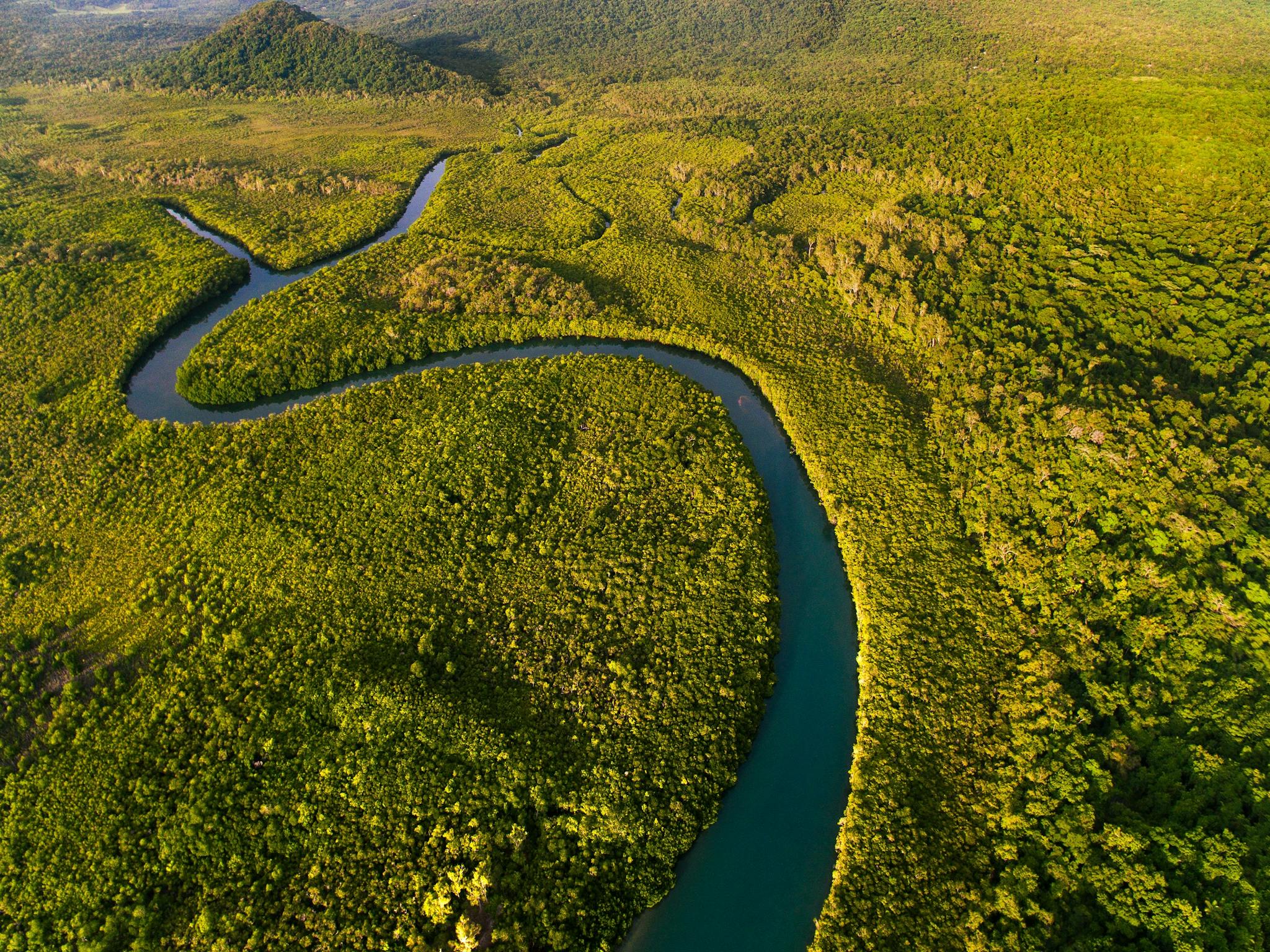 Cooper Creek aerial view Cooper Creek aerial view