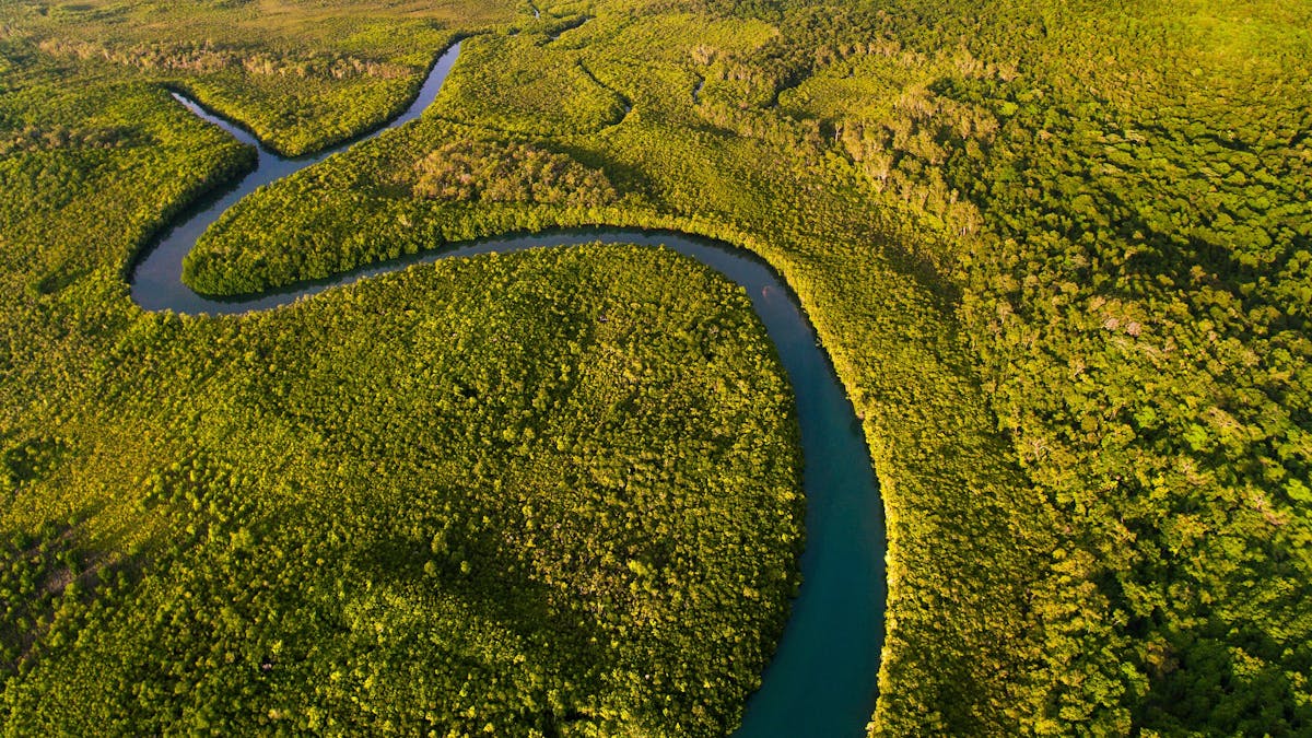 Cooper Creek aerial view