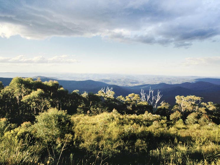 Vista Point picnic area, Mount Hyland Nature Reserve. Photo: Tony Karacsonyi