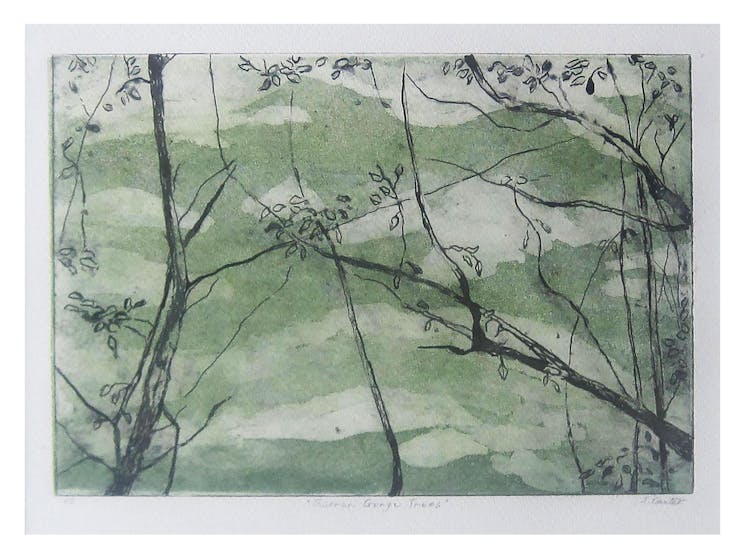 Janet Carter, Barren Gorge Trees,  Etching with aquatint on rag paper