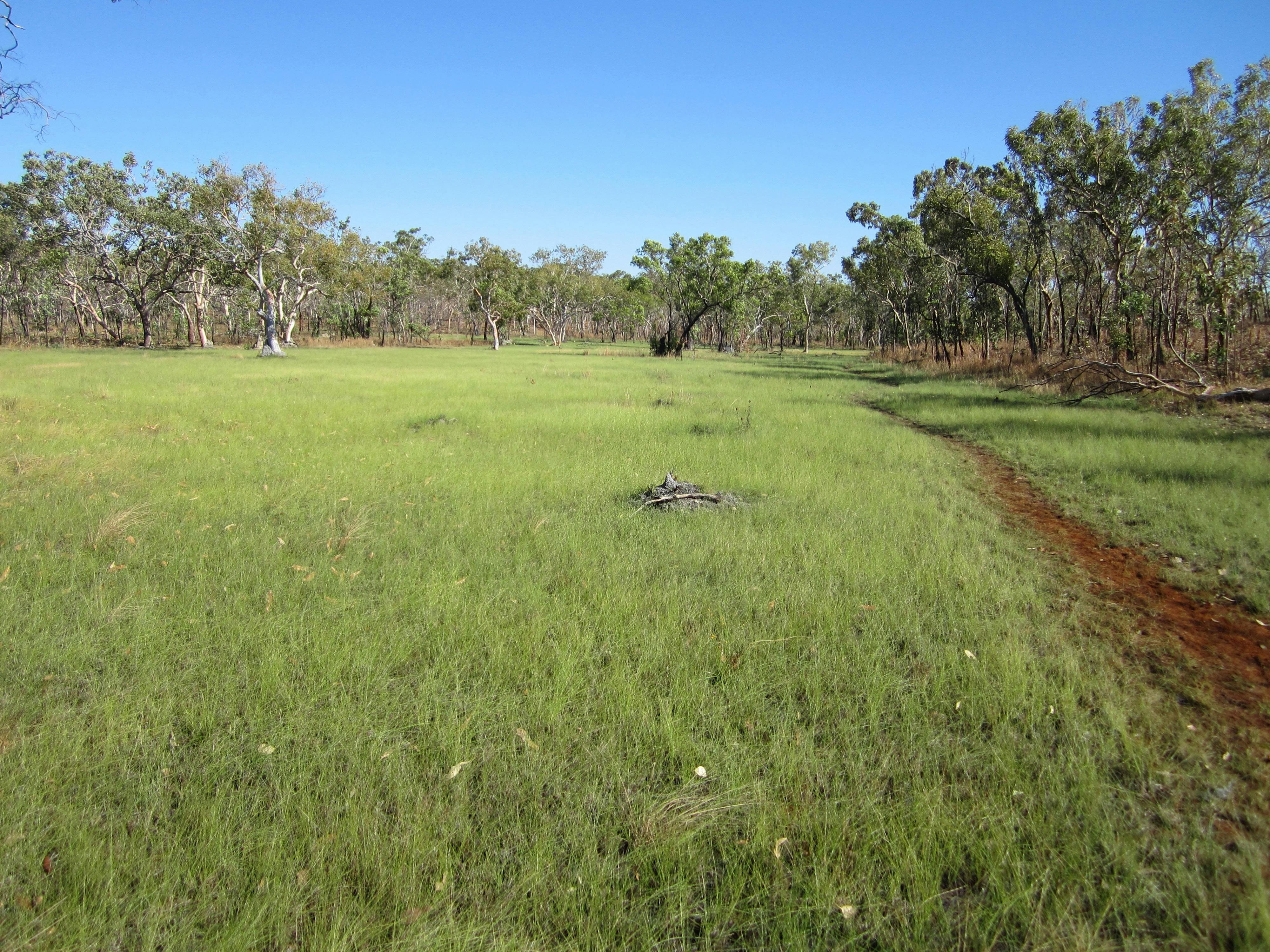 Jatbula Trail