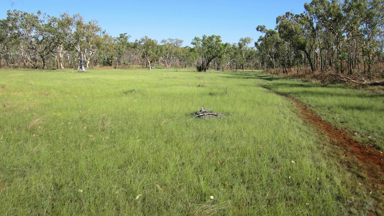 Jatbula Trail