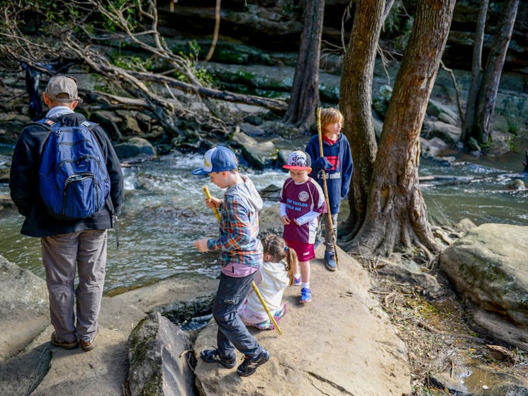 Bomaderry Creek Bushwalk