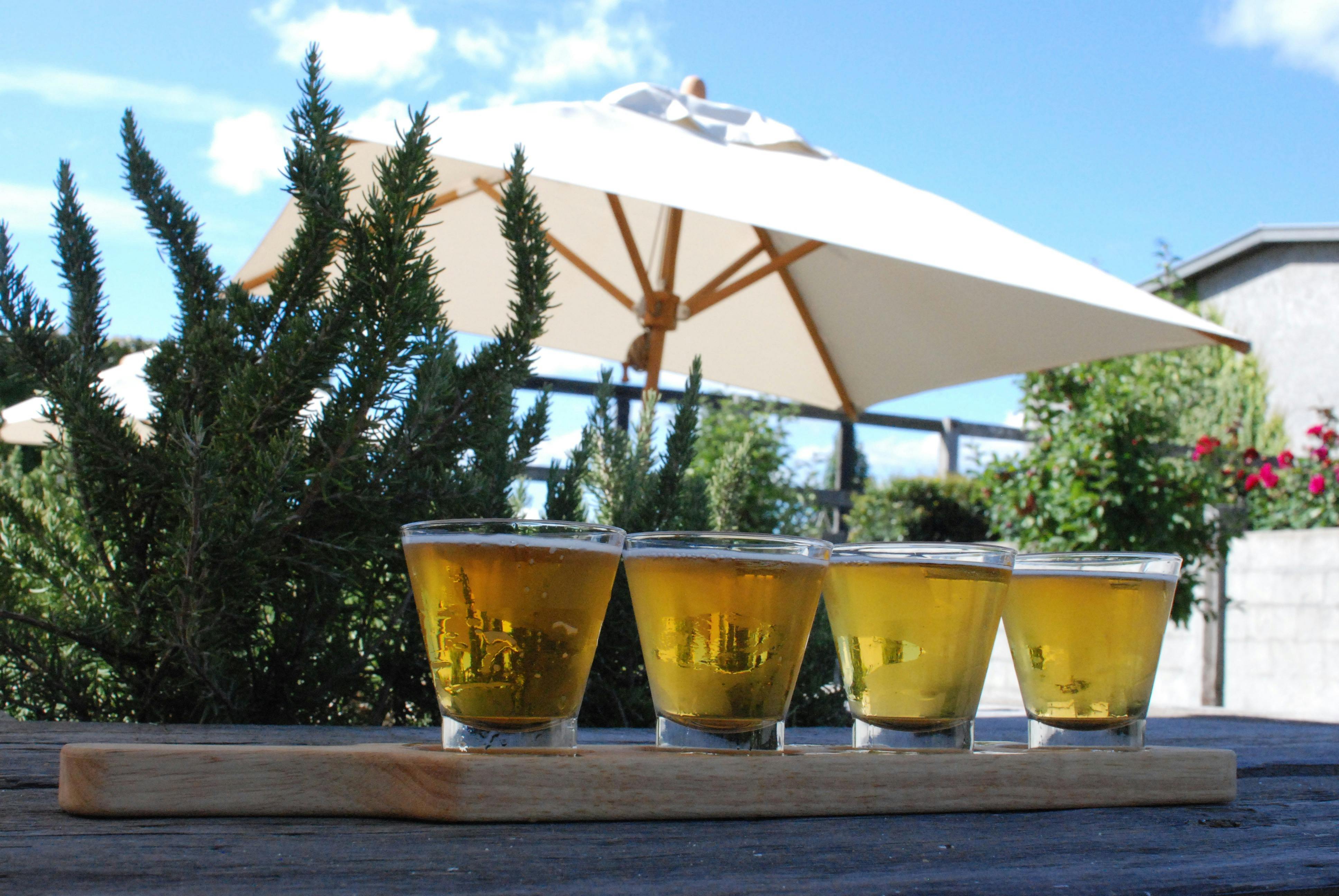 Yarra Valley Winery Tour beer and cider paddle in the courtyard of the Napoleone cider house