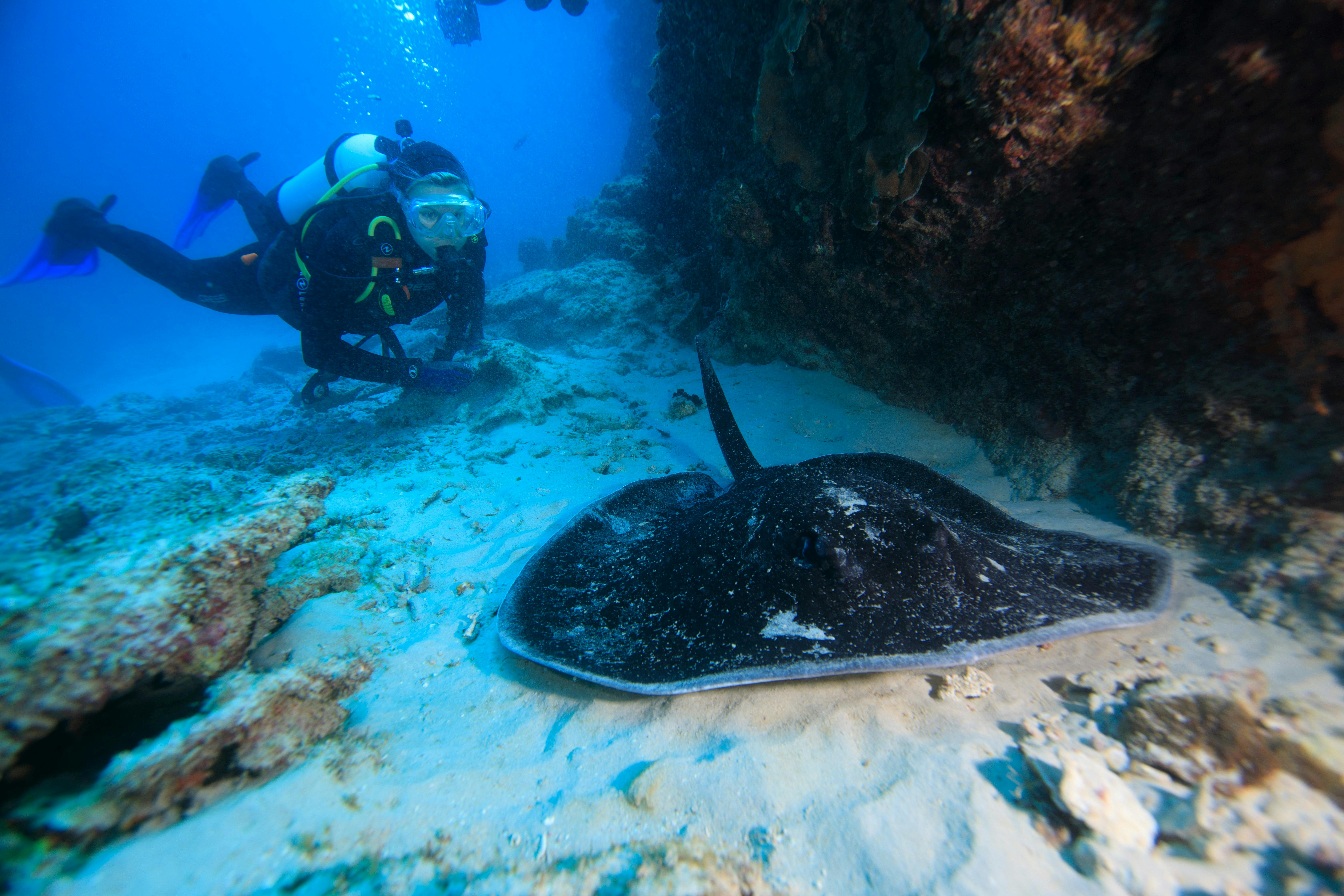 Shark Bay Dive and Marine Safaris, Shark Bay, Western Australia