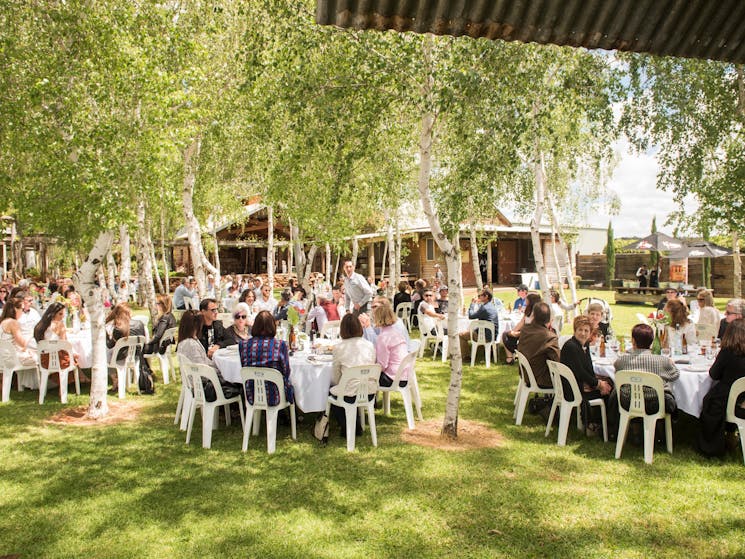 Long Lunch at the Piccolo Family Farm