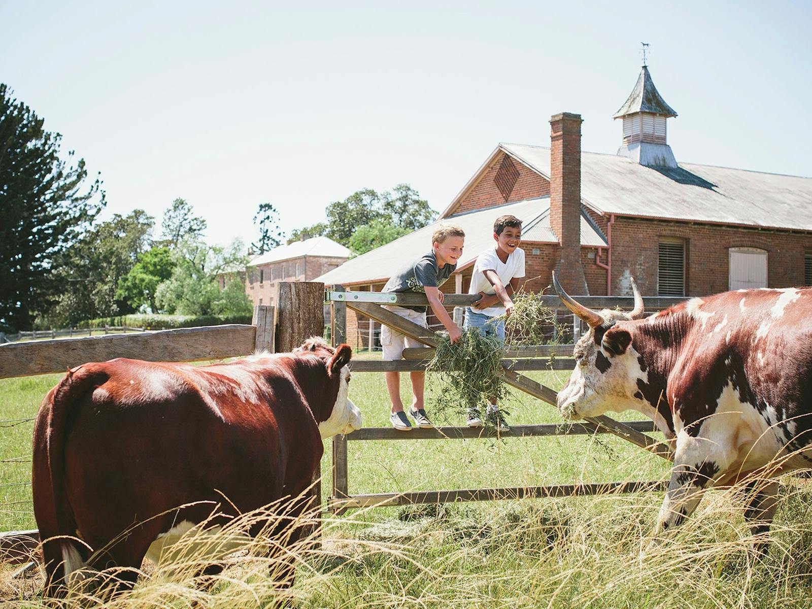 Image for Earn your Tucker at Rouse Hill House and Farm