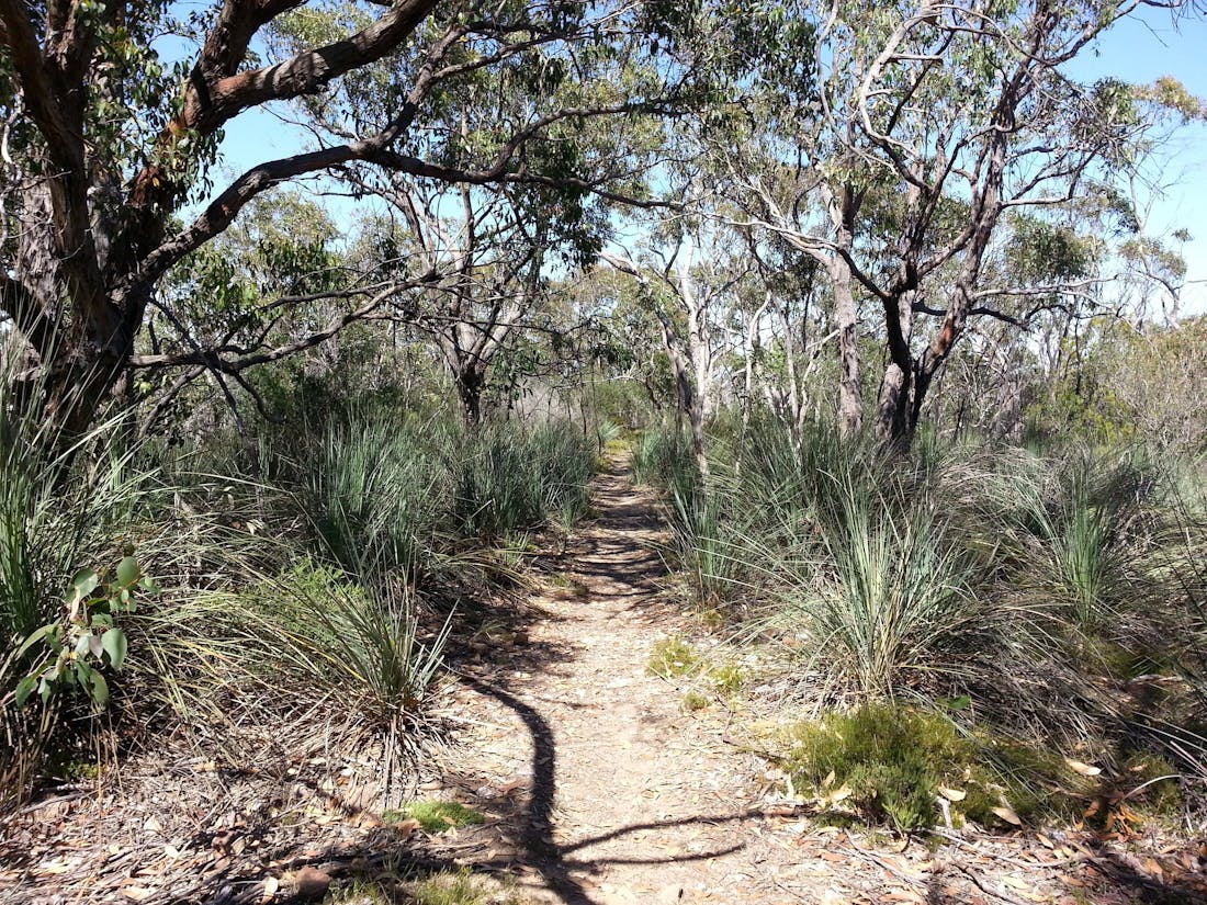 Warren Conservation Park - Mount Crawford, Attraction | South Aus...