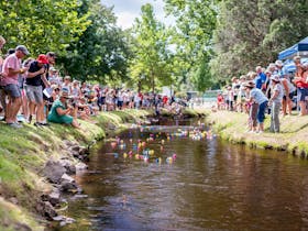 Bendigo Bank Tumbafest Cover Image