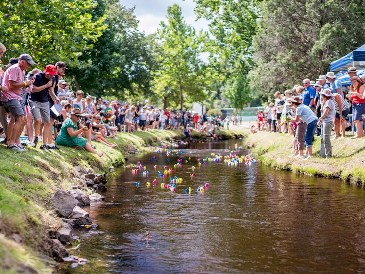 Tumbafest_DuckRace