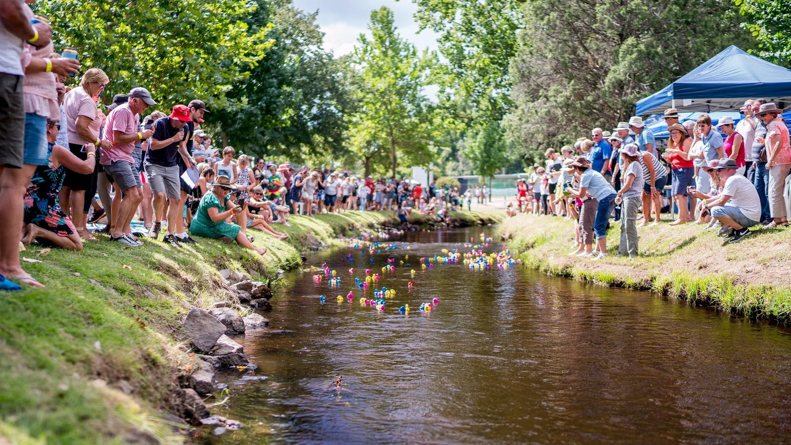 Image for Bendigo Bank Tumbafest