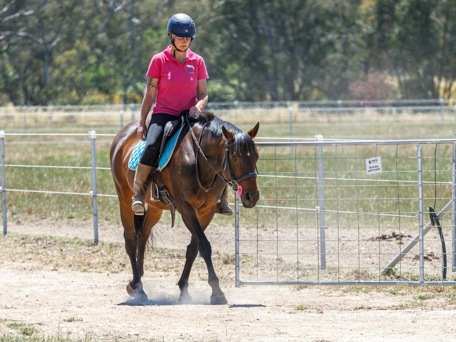 Another option here at JW Equestrian