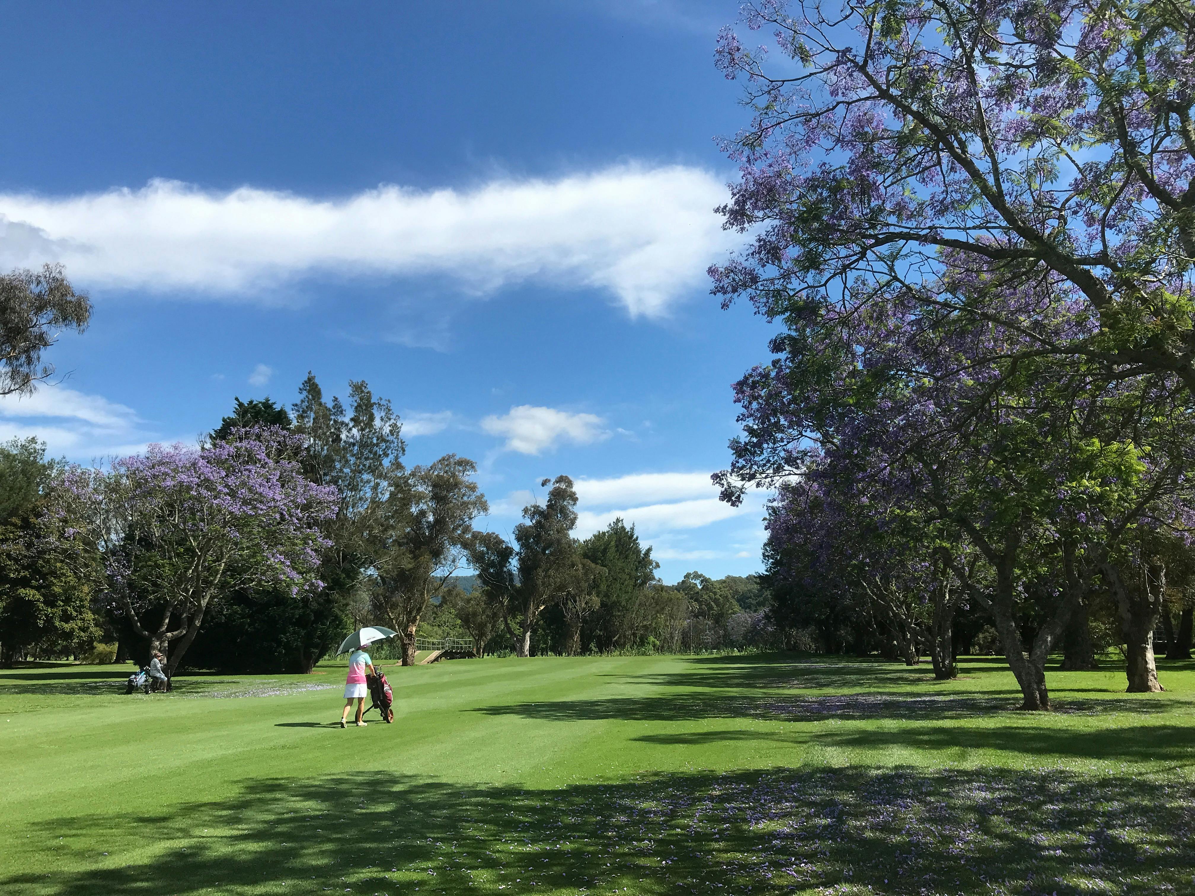 ジャンベルーでの典型的な一日