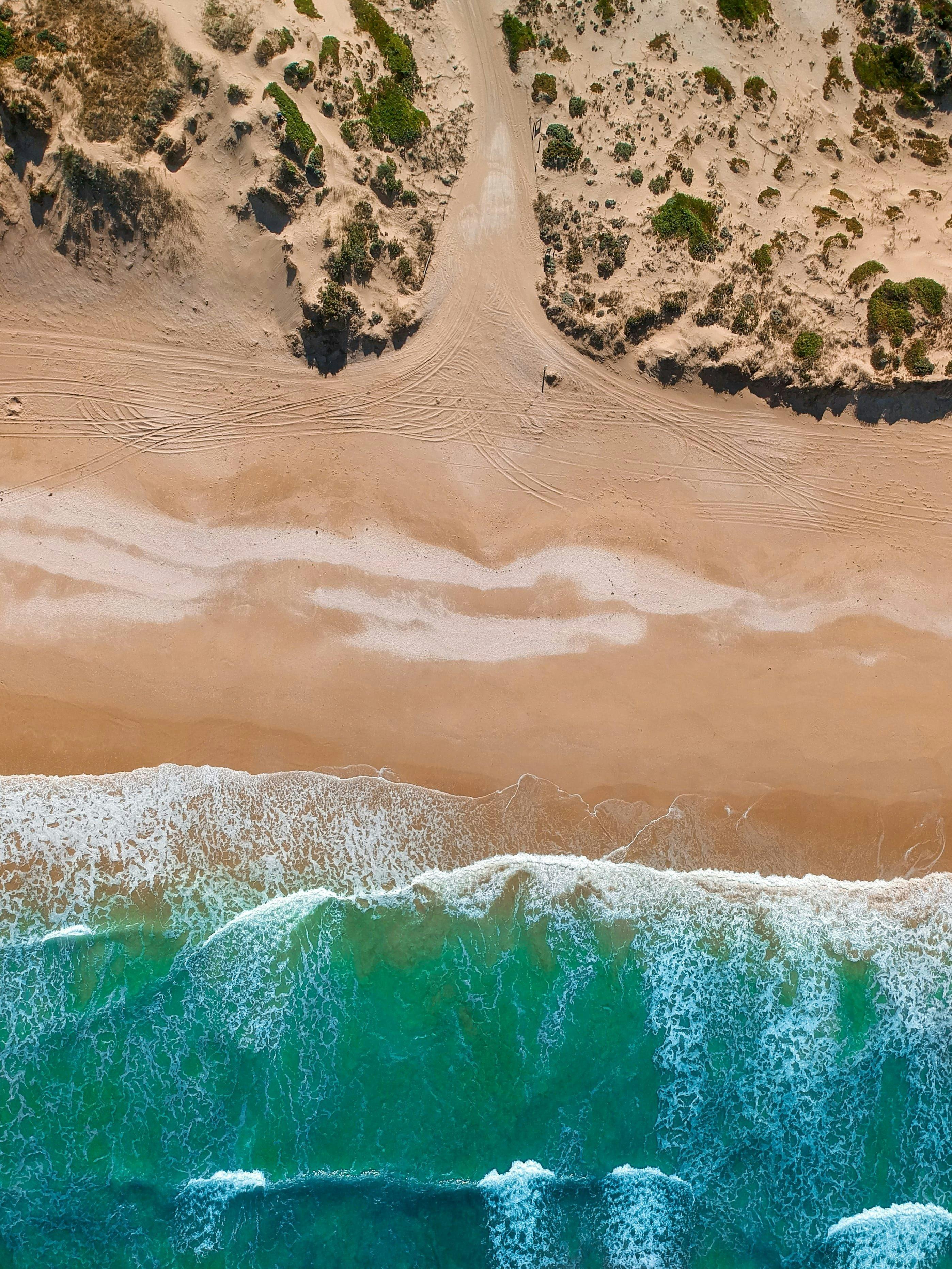 Wonders Of The Coorong