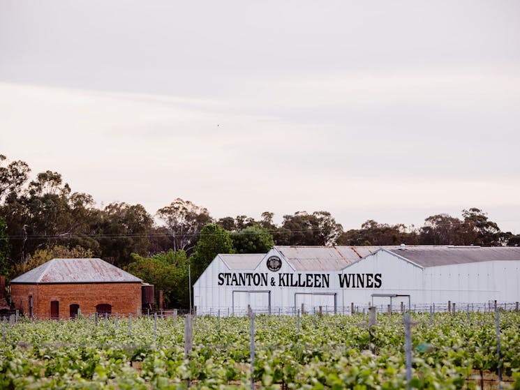 Surrounded by vines, 5 minutes from Rutherglen centre
