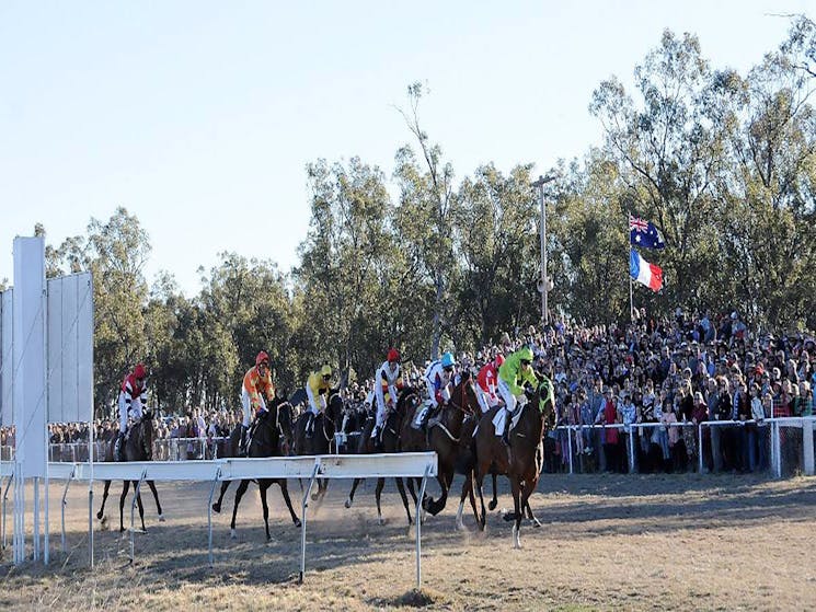 Wean Picnic Races