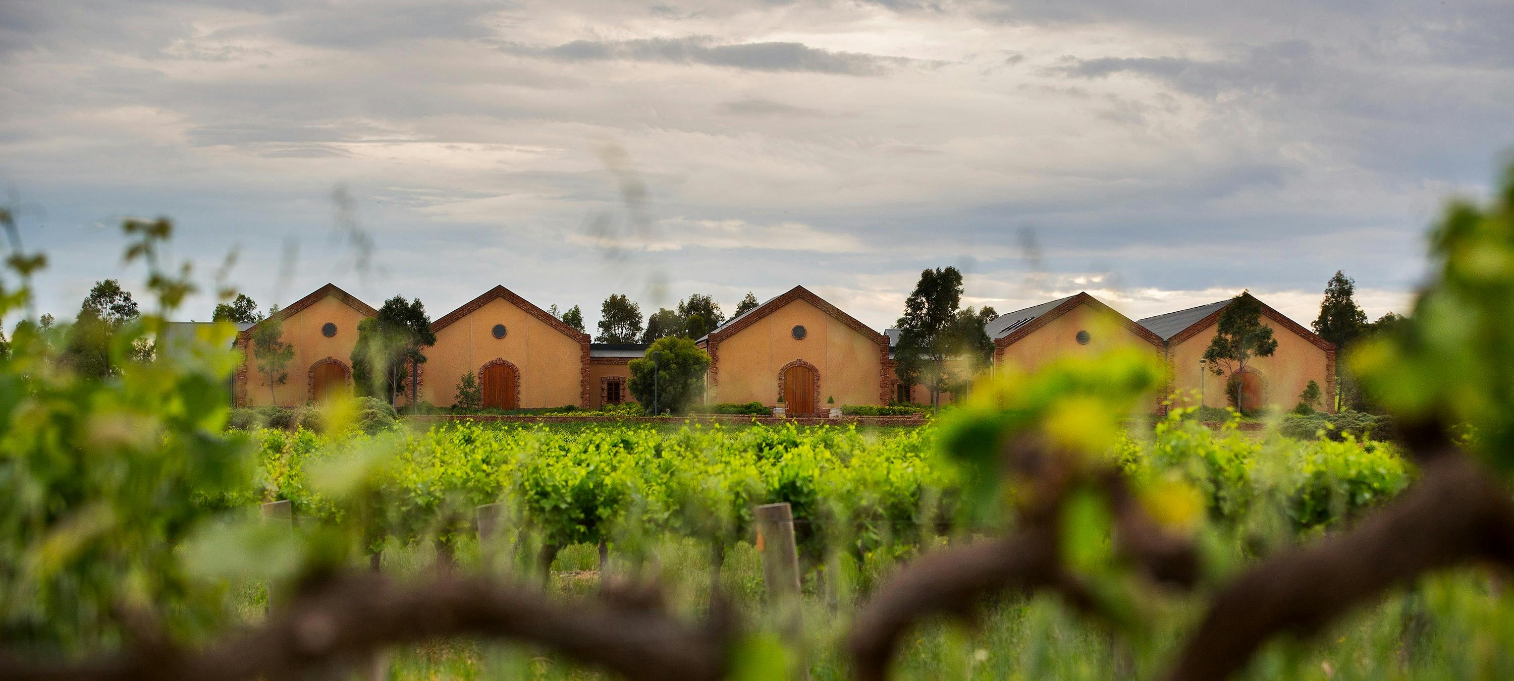 Murray Street Winery