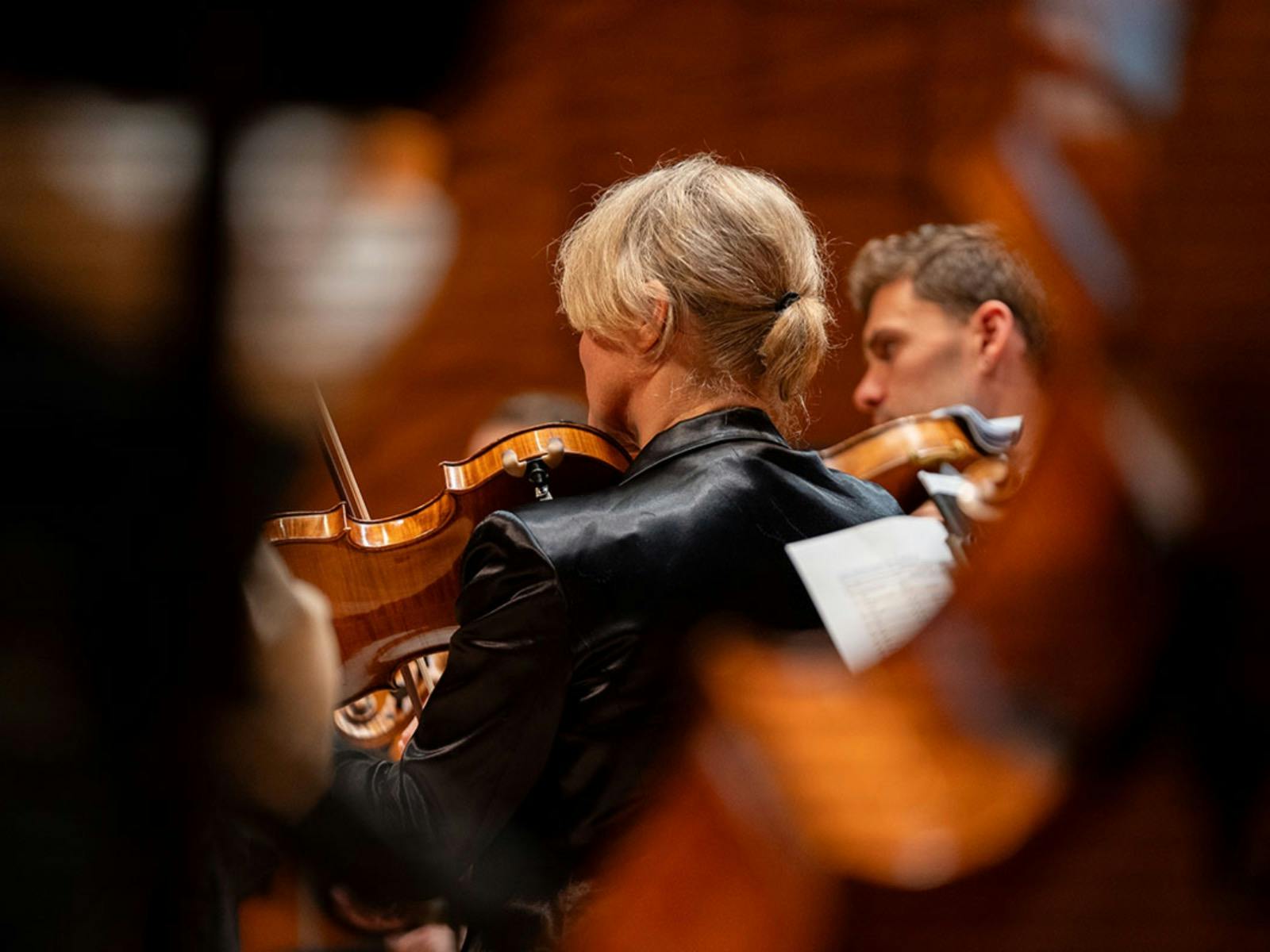The Voice of the Viola: Fiona Sargeant