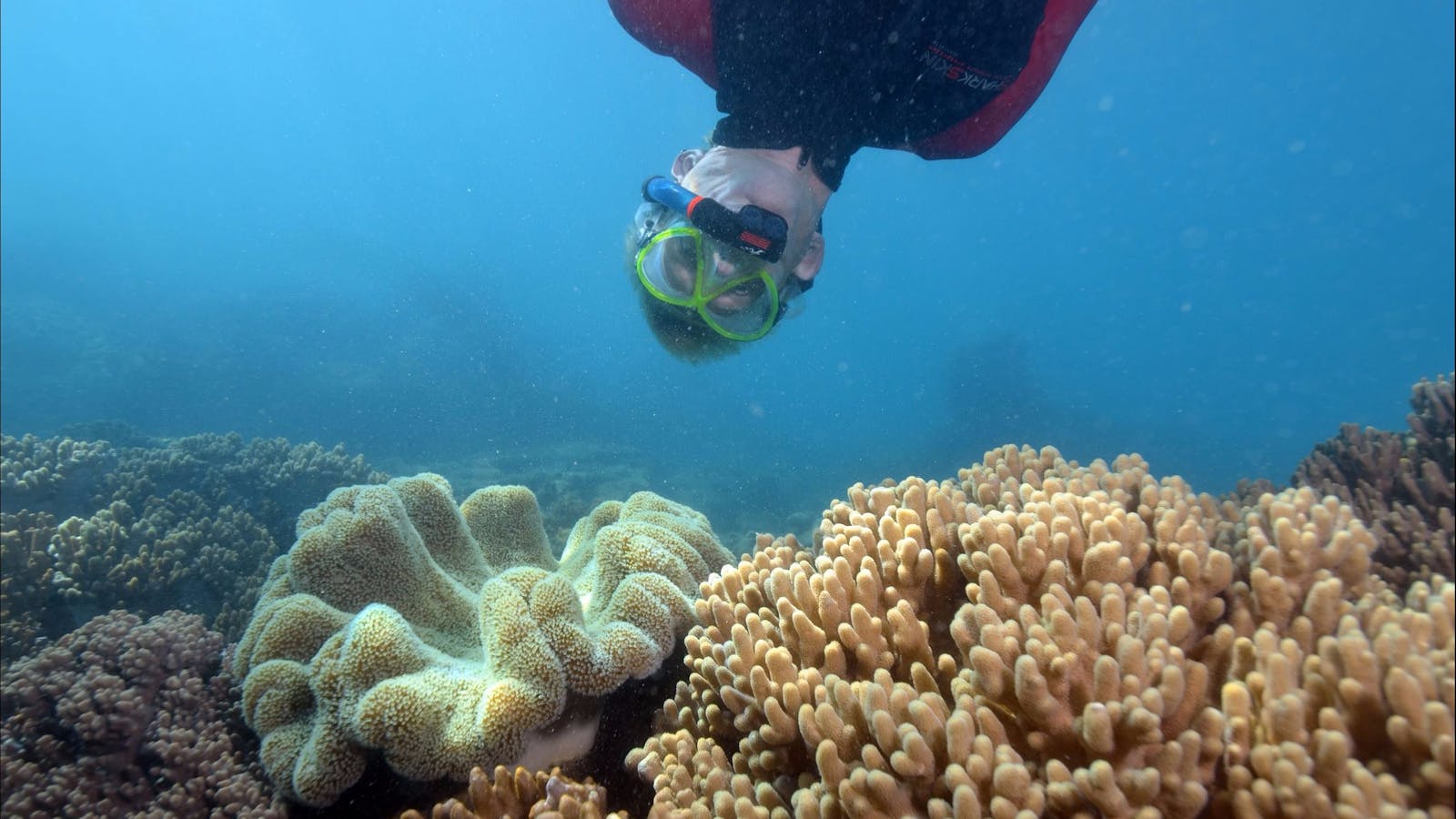 Geoffrey Bay Snorkel Trail