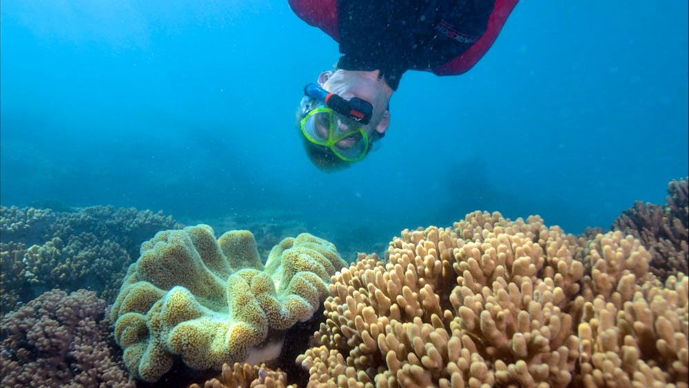 Geoffrey Bay Snorkel Trail