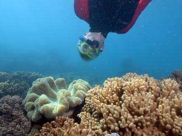 Geoffrey Bay Snorkel Trail