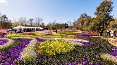 Floriade garden bed